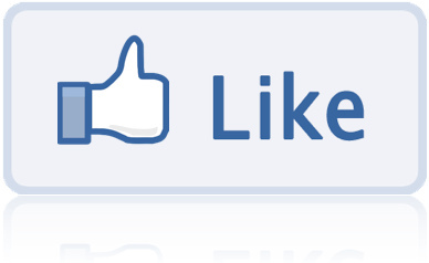 followers engage social media bleazy usa