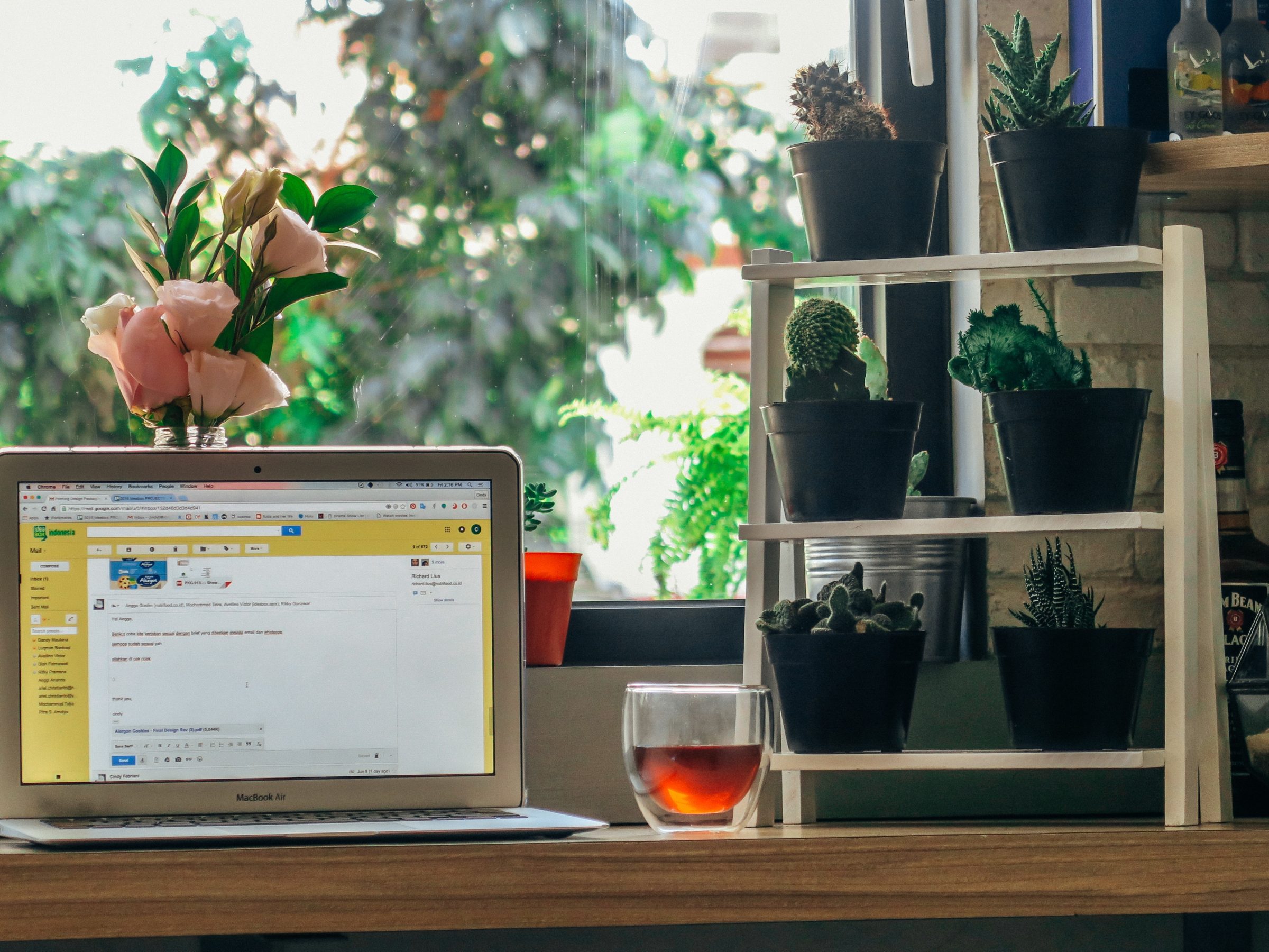 email marketing bleazy usa